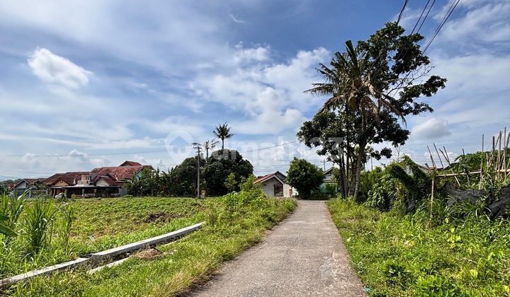 Cheap Land for Sale 5 Minutes from Kalasan Market Cheap Land for Sale 5 Minutes from Kalasan Market