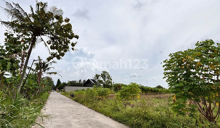Affordable Land for Sale, 2 Minutes from Maguwoharjo Stadium Affordable Land for Sale, 2 Minutes from Maguwoharjo Stadium