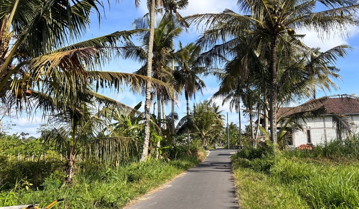 Land near Grogolan Road. East of UII Jakal Campus. Land near Grogolan Road. East of UII Jakal Campus.