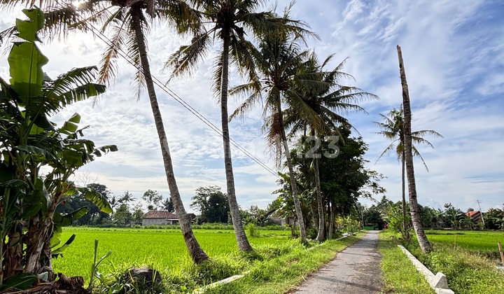 Dijual Tanah Murah di Jalan Selomartani. 10 Menit Dari Candi Sambisari dan Dekat Bandara Adisutjipto