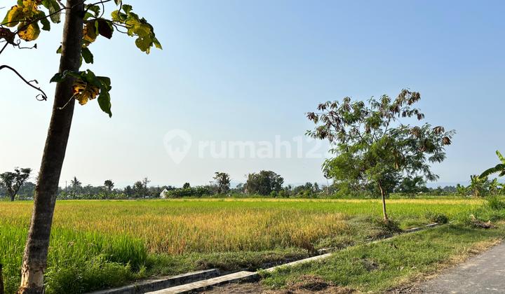 For Sale Strategic Land Suitable for Rice Fields on Jalan Bolo Utara, RSU Mitra Paramedika.