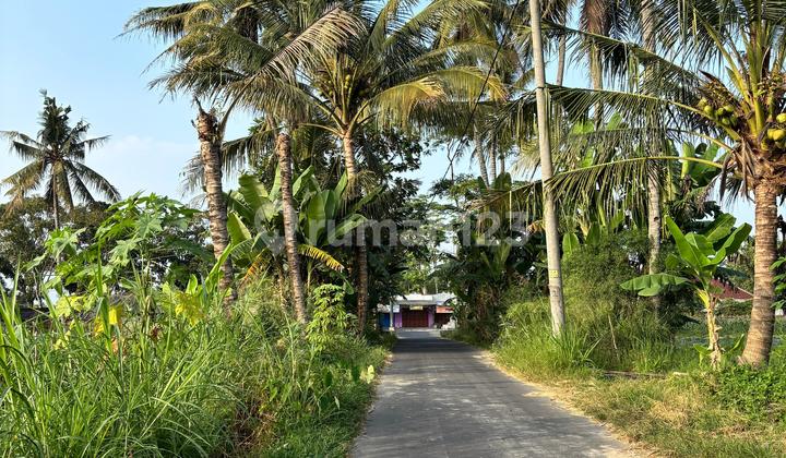 Strategic Land for Sale West of RSU Mitra Paramedika Sleman