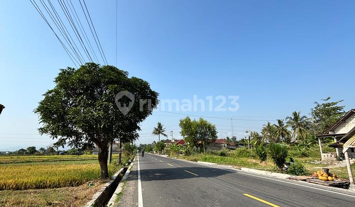 Land for Sale on Koroulon Street, Pakem Kalasan Land for Sale on Koroulon Street, Pakem Kalasan