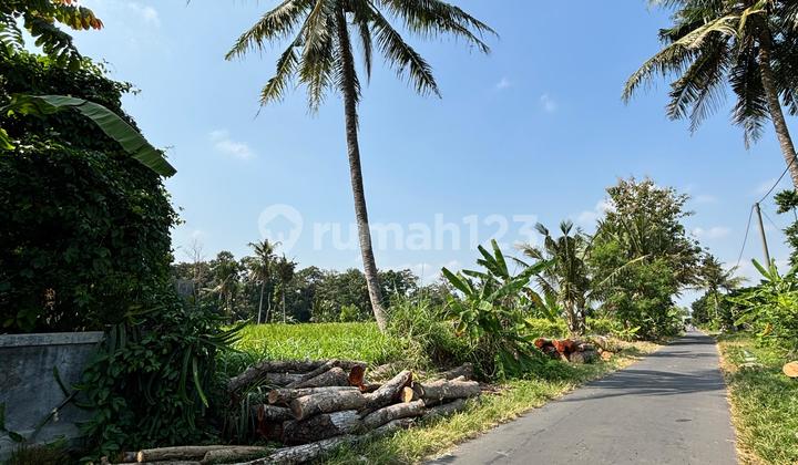 Land for Sale North of Ngemplak District Office Land for Sale North of Ngemplak District Office