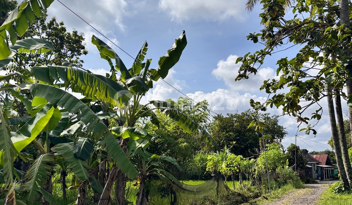 Land with SHM for Sale on Jalan Pandanaran, Jalan Kaliurang Km 12