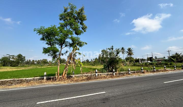 Land for Sale on Jalan Pertanian near Kopi Klotok Land for Sale on Jalan Pertanian near Kopi Klotok
