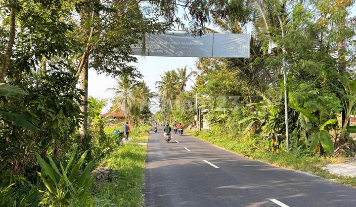 For Sale Land in Mangku, Cangkringan Road, Widodomartani, Ngemplak, Sleman, DIY