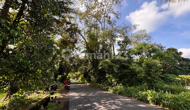 Land for Sale on Jalan Puntuk ********, UII Campus, Jakal Land for Sale on Jalan Puntuk ********, UII Campus, Jakal