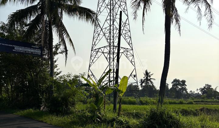 For Sale Land in Mangku, Cangkringan Road, Widodomartani, Ngemplak, Sleman, DIY