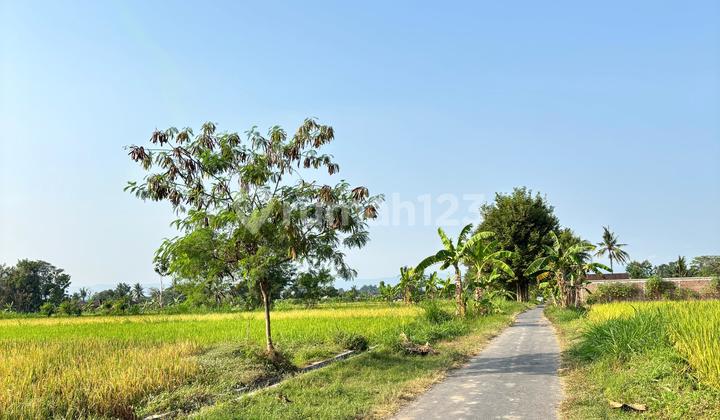 For Sale Strategic Land Suitable for Rice Fields on Jalan Bolo Utara, RSU Mitra Paramedika.