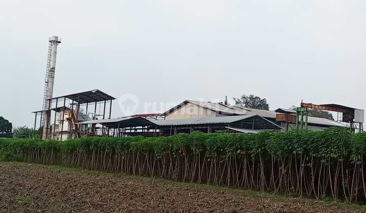 Dijual Pabrik Gula Pasir Kediri Murah Dijual Pabrik Gula Pasir Kediri Murah