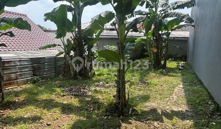 Tanah Strategis Bebas Banjir di Pekapuran Tapos, Depok Tanah Strategis Bebas Banjir di Pekapuran Tapos, Depok