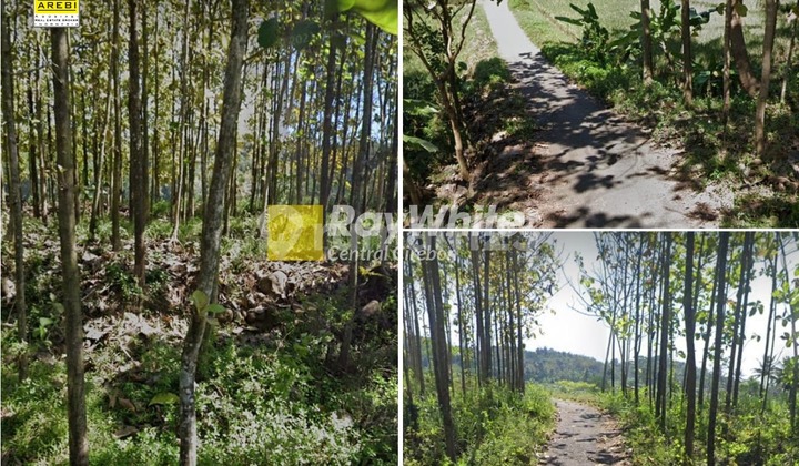 Dijual Tanah Kebun Jati di Padahanten Sukahaji Majalengka Dijual Tanah Kebun Jati di Padahanten Sukahaji Majalengka