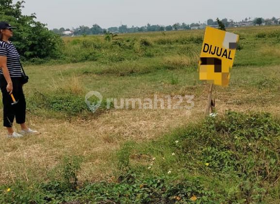 For Sale: Central Java Industrial Zone Land