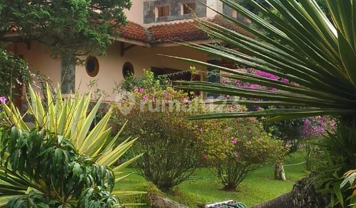 Di Jual Villa Puncak Ciloto