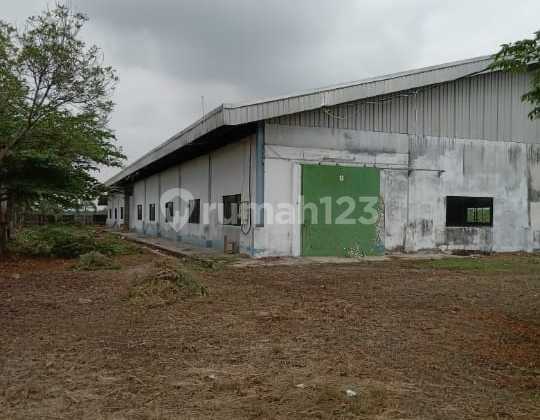 Warehouse for Sale in Compreng, Subang