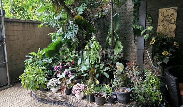 Di Jual Rumah Asri dan Strategis di Cempaka Putih Barat 2