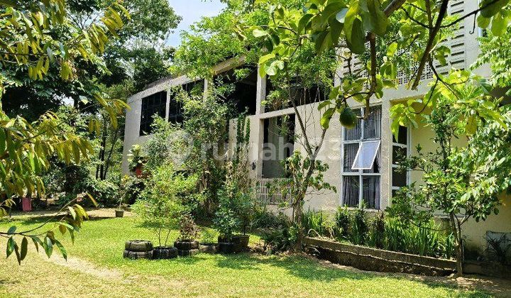 Oase Hijau di Jantung Bogor Barat: Hunian Eksklusif Tepi Situ Gede & Hutan Cifor!"