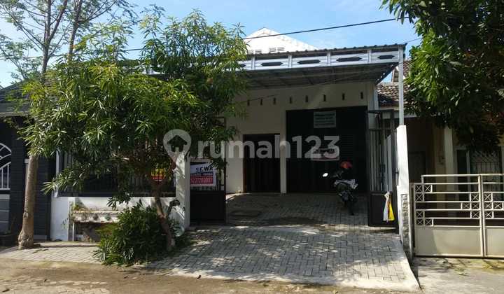 Disewakan Rumah di Semarang Indah Jalan Lebar Cocok untuk Hunian dan Kantor 1