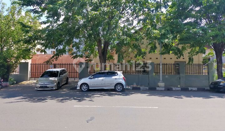 Disewakan Rumah Jl Utama Semarang di Jl Dr Cipto Cocok untuk Kantor dan Usaha 1