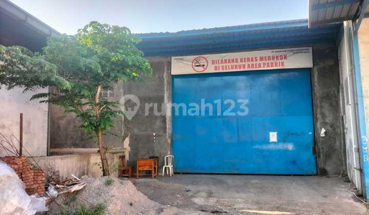 Warehouse for Rent Ready to Use in Bandungrejo Mranggen 1