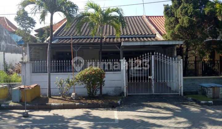 Land for Sale Ready to Build and Use in Siwalankerto with SHM