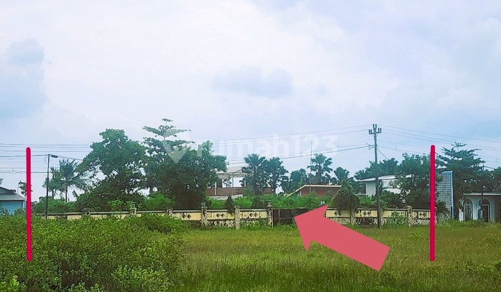 SHM Land in a Strategic Location at Sekembu Beach, Mulyoharjo Village, Jepara
