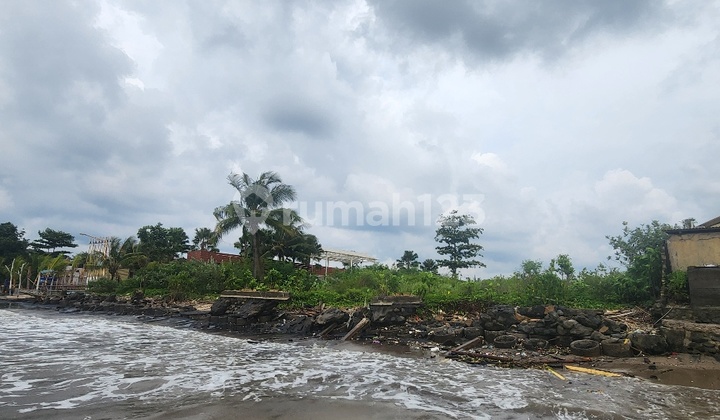 SHM Land in a Strategic Location at Sekembu Beach, Mulyoharjo Village, Jepara
