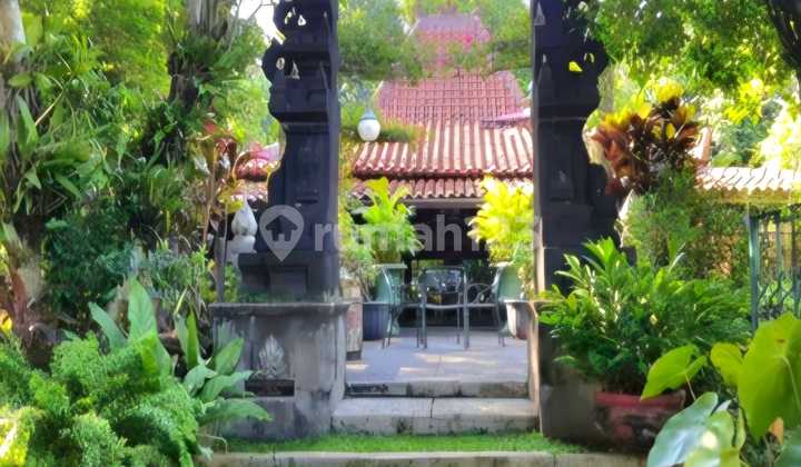 Rumah Taman Kebun di Condet Harga Nego 1
