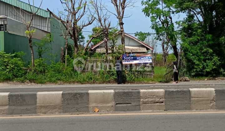 Tanah Strategis di Pantura Losari Cirebon Tanah Strategis di Pantura Losari Cirebon