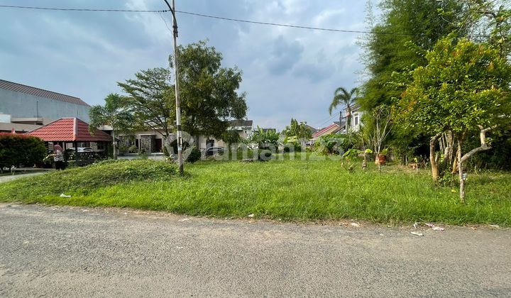 Free Biaya Notaris, Tanah, SHM, Free BPHTB