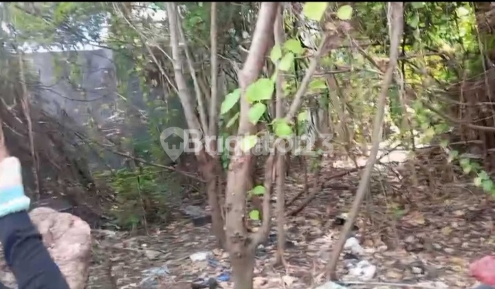 Tanah di Legian Badung Bali Dewi Sri Kawasan Wisata Tanah di Legian Badung Bali Dewi Sri Kawasan Wisata