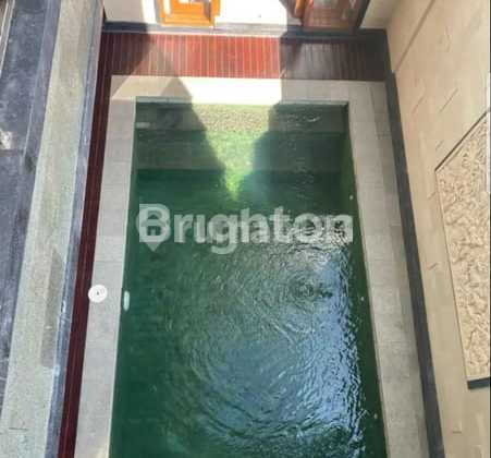 Rumah 3 Lantai Denpasar Selatan Bali Plus Kolam Renang Pribadi 2