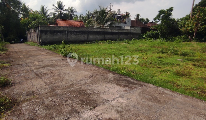 2 Are Land in Mambang Dukuh Pulu, East Selemadeg, Ready to Build