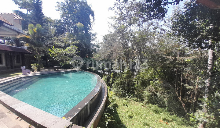 Jual Villa 5000 M2 Depan Sungai Penatu Banjar Tengkulak Gianyar Bali