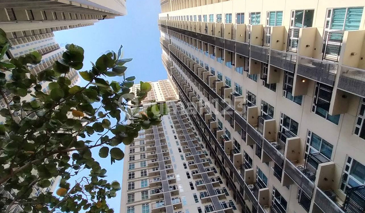 Jual 5 Unit Kios Roi 8,8% Per Tahun Puri Orchard Jakarta Barat - Sell 5 Unit Shop House Roi 8,8% Per Year Puri Orchard West Jakarta Jual 5 Unit Kios Roi 8,8% Per Tahun Puri Orchard Jakarta Barat - Sell 5 Unit Shop House Roi 8,8% Per Year Puri Orchard West Jakarta