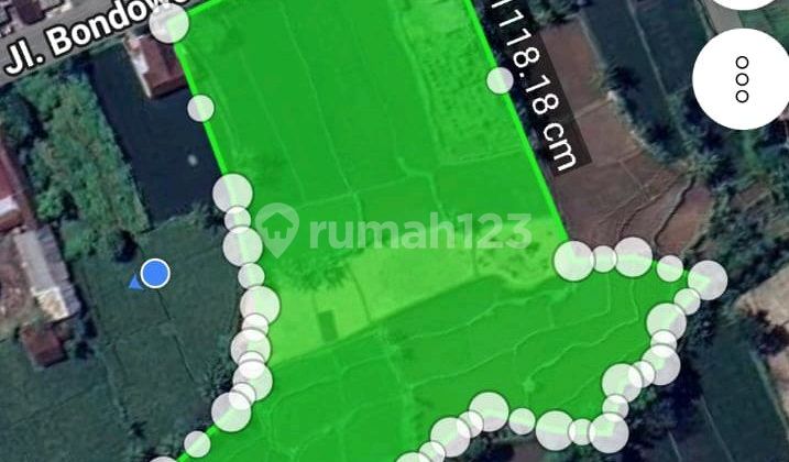 Tanah Murah Tepi Aspal Dekat Bobin, Jl Jember-Bondowoso Tanah Murah Tepi Aspal Dekat Bobin, Jl Jember-Bondowoso