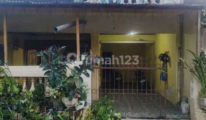 Kost Jalan Mastrip, Dekat Unej dan Politeknik Negeri