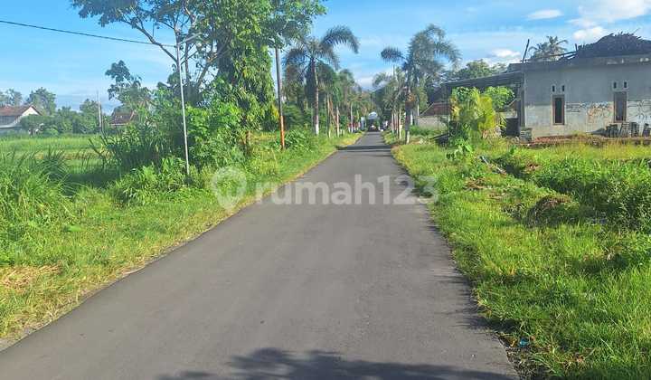Tanah Mangku Aspal Timur Kaliurang Km 10, View Persawahan dan Merapi