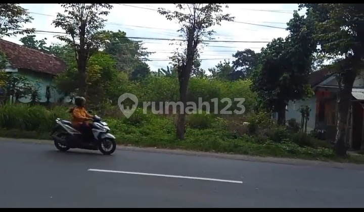 Tanah Luas Ajung Klompangan, Lokasi Ramai dan Prospektif Tanah Luas Ajung Klompangan, Lokasi Ramai dan Prospektif