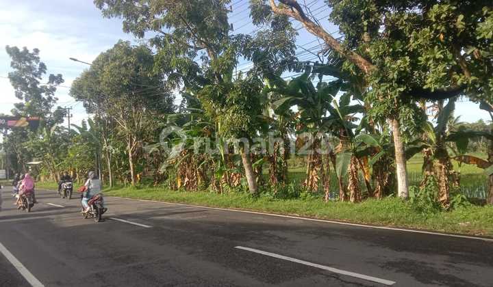 Tanah Akses Utama Jbr-Bws Dekat Bobin. Strategis Tanah Akses Utama Jbr-Bws Dekat Bobin. Strategis