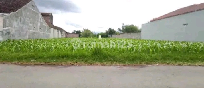 Cheap Land, Promising for Building Boarding Houses Near Jember Campus. Cheap Land, Promising for Building Boarding Houses Near Jember Campus.