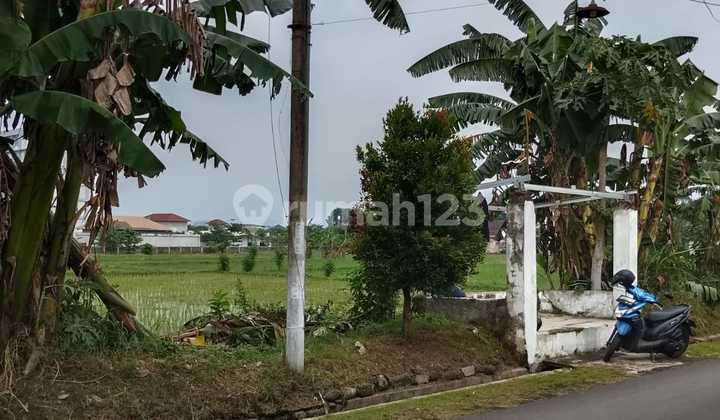 Tanah Strategis Dekat Rs Paru, Pusat Kota Jember Tanah Strategis Dekat Rs Paru, Pusat Kota Jember