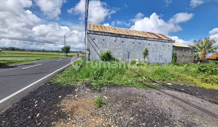 Jalan Utama Beringkit, 6 Menit Terminal Mengwi. Legalitas: SHM
