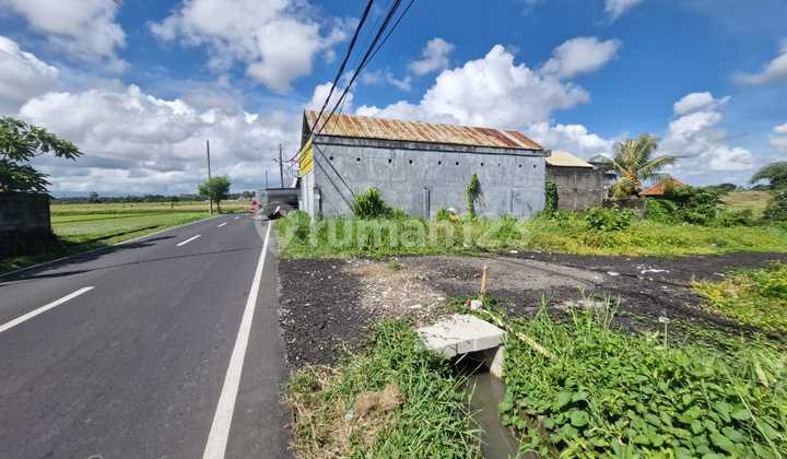 Beringkit Main Road, 6 Minutes to Mengwi Terminal. Legality: SHM (Freehold Certificate)