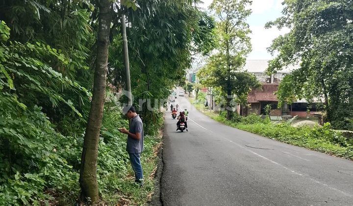 For Sale: Land on Main Road, Near Jember City Center