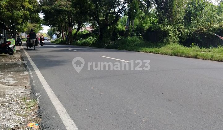Commercial Land on Asphalt Roadside for Sale. Suitable for Building Shophouses and Homestays.