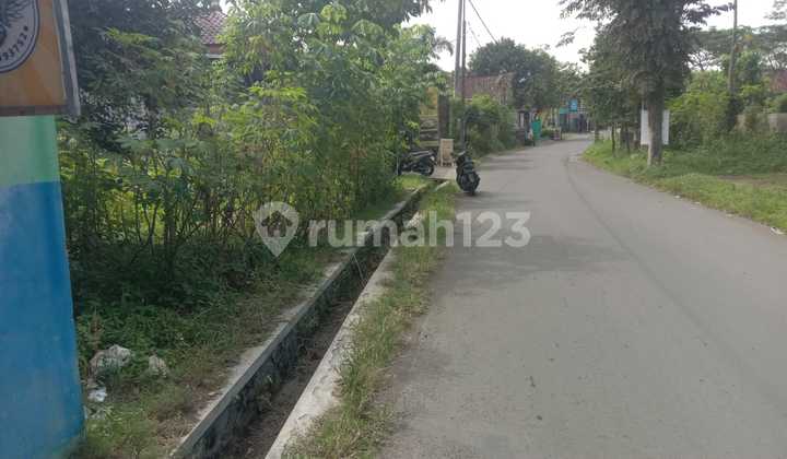 For Sale: Land in Jember Campus Area, 15 Meters Front Width, Very Strategic Location For Sale: Land in Jember Campus Area, 15 Meters Front Width, Very Strategic Location