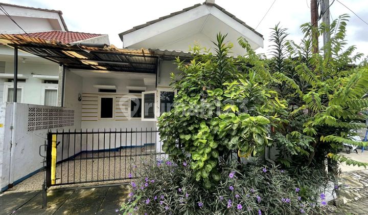 Jual Rumah Griya Bogor Raya Dekat Tol Bogor Jual Rumah Griya Bogor Raya Dekat Tol Bogor