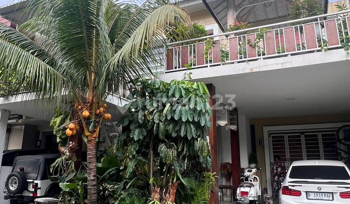 Jual Rumah Bagus Kolam Renang Bukit Cimanggu City Bogor Jual Rumah Bagus Kolam Renang Bukit Cimanggu City Bogor